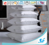 Standard Siliconized Cheap Polyester Fiber Pillow for USA