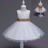Beautiful Ivory Lace Flower Girl Wedding Dresses for Kids