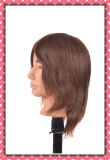 Brown Color Brazilian Hair Training Head 16inches for Style Training