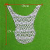 Wholesale Chemical Embroidry Cotton Lace Collar (cn138)