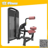 Tz-4006 Gym Strength Machine/Seated Back Extension
