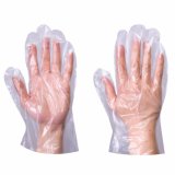 Disposable Lucid Poly Gloves, Plastic PE Gloves