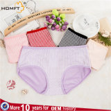 Wholesale Womens Cotton Underwear