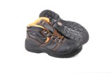 Sanneng Industry Safety Shoes with CE Certificate (sn5283)