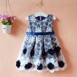 Kd1127 Organza Dress with Embroidery Fleece for Kids Girls