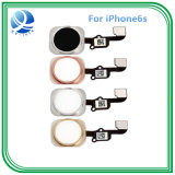 High Quality Home Button for iPhone 6s Home Key Flex Cable