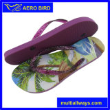 Summer Beach Printing PE Sandal with Jelly Strap for Woman