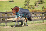 Horse Turnout Ripstop Blanket for Winter