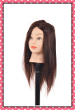 Wholesale 100% Human Hair Training Head 18inches for Beauty School