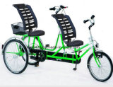 2 Seater Bikes with 1500W Motor and 48V/20ah LiFePO4 Battery (SL-025-A)