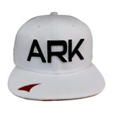Fashion New Era Cap with Raised Logo Sk1634