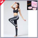 Wholesale Dir Fit Women Gym Compression Yoga Pants Women Tights