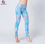 Dry Fit Yoga Tights with Pocket New Design Yoga Pants