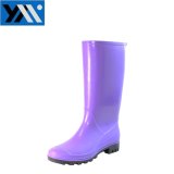 Hotsale New Design Ladies Wellington Boot Women Rain Boots