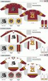 Customized American Hockey League Chicago Wolves Hockey Jersey