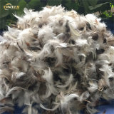 Best Quality Duck Down Feather Filling Wholesale for Quilt