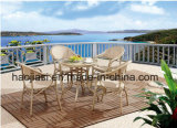 Outdoor /Rattan / Garden / Patio Furniture Texilene Cloth Chair & Table Set (HS 2097C &HS 6097DT)
