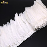 Best Price Superior Quality Duck Down Feather and White Goose Feather