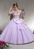 2015 Ball Gowns Quinceanera Dresses (QG003)