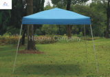 2.5X2.5/3X3m Canopy, Hot Seel Tent, Good Quality, Gazebo with Wheel Bag