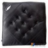 Car Seat Cover and Cushion (PZ-1004)