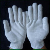 Hot Sale Nylon/Cotton/Polyester Knitted Gloves in Korea Market