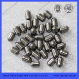 Hip Sintered, Ground and Tumbled Tungsten Carbide Button for Mining