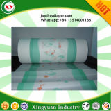 Diaper Raw Material PE Film for Backsheet Manufacture