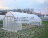 100% Virgin HDPE Greenhouse Anti Insect Nets