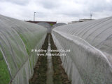 Agricultural 50 Mesh Greenhouse Anti Insect Net