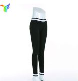 Wholesale OEM Dry Fit Woman Long Leggings Yoga Pants