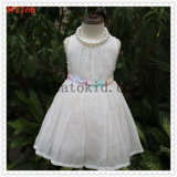 Sweet Girls Embroidered Flower Organza Tulle Dress for Communion Dress