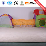 Portable Funny Kids Tent for Sale