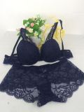 New Design Sexy Bra and Panty for Ladies (FPY 320)