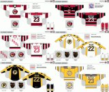 Customized American Hockey League Providence Bruins Hockey Jersey