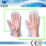 Custom Printed 5 Fingers Paper Card Header PE Glove