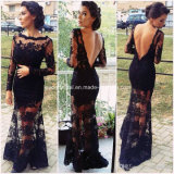 Black Evening Dress Illusion Lace Celebrity Dress Yao74