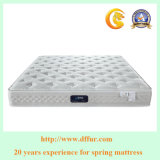 Pure Cotton Knitted Fabric Pocket Coil Mattress with High Elastic Sponge