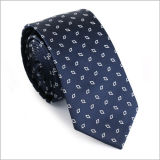 New Design Fashionable Polyester Woven Necktie (50024-11)
