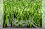Football Field Carpet, Grass Carpet (CP005)