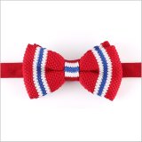 Classic Polyester Knitted Men's Bow Tie (YWZJ 49)