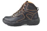 Hot Sell Industrial High Quality Safety Shoes (SN-2007)