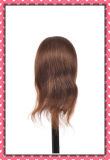 100% Human Hair Mannequin Head 18inches for Beauty School Training