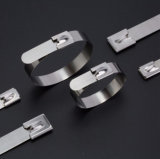 304 316 Steel Ss Zip Ties for Various Application