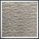 Cotton Fabric Embroidered Cotton Lace Fabric