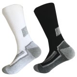 Half Cushion Poly Fashion Outdoor Sport Long Socks (JMPOD05)