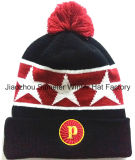 Samples Free of Charge More Color Mix Knitted Beanie Knitted Cap