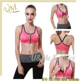 Four Colors Gym Ladies Sports Bra Tops Fitness Yoga Wear