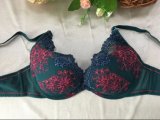 Fashion Push up Bra and Panty Lady Sexy Lingerie