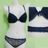 Wholesale Price Sexy Bra Set Lace Underwear (EPB161)